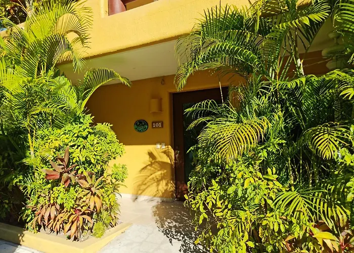 " Los Mangos" 2 Bedroom 2 Bathroom Appartment At Walking Distance From The Beach Zihuatanejo