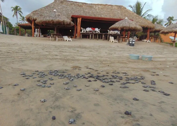 Troncones Resorts